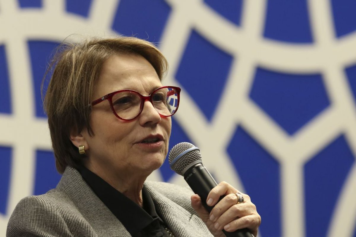 Ministra diz que, se houvesse mais gado no Pantanal, "desastre" seria menor