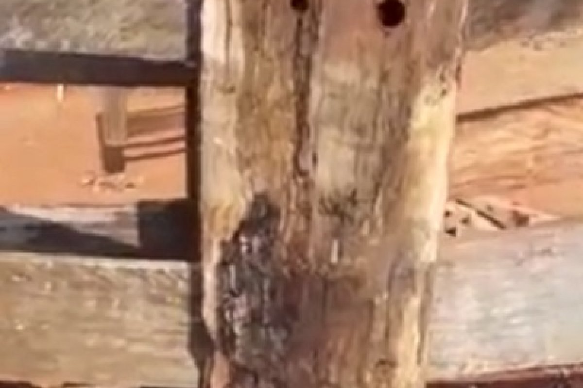 Morador flagra madeira pegando fogo por conta do calor do sol