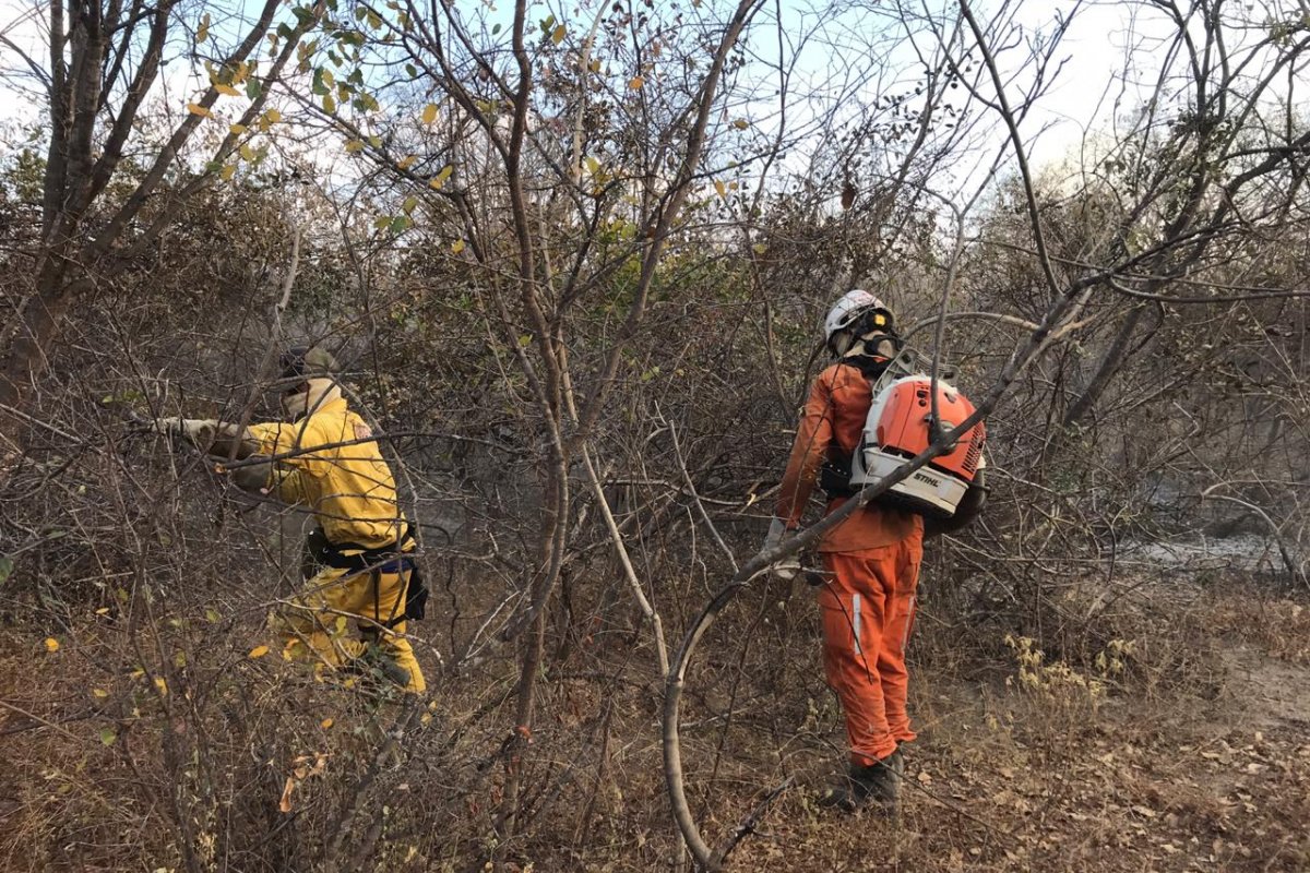 ”Equipes do Governo do Estado estão atuando nos principais focos de incêndio", diz Rui Costa