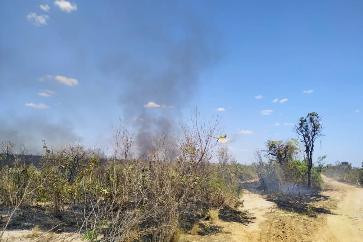 Rui Costa decreta situação de emergência em 73 cidades afetadas por incêndios florestais