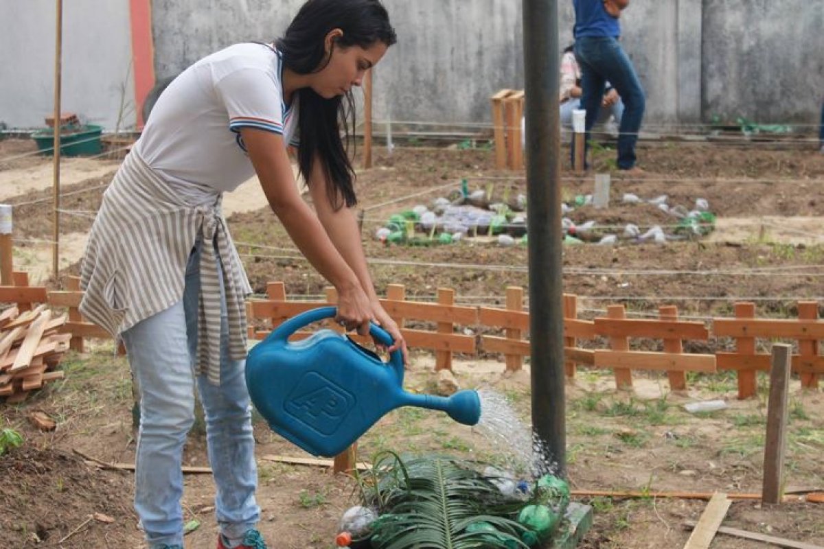 Mais de 240 escolas na Bahia recebem investimento para hortas