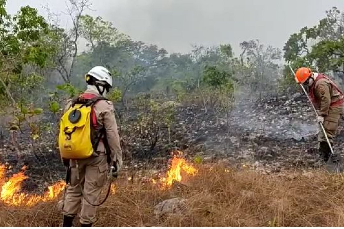 Incêndio na Chapada dos Veadeiros, em Goiás, termina após 16 dias