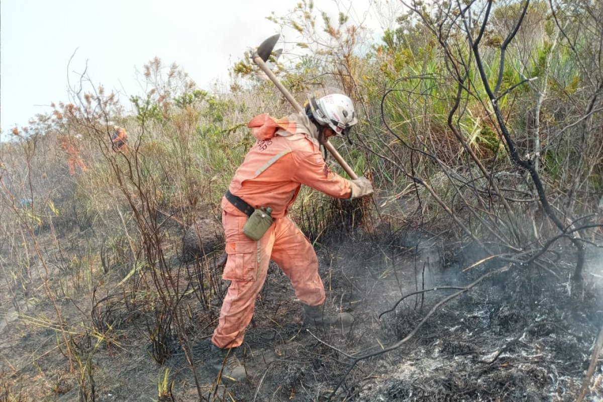 Após quase um mês, incêndio florestal é extinto na cidade de Barra, na Bahia