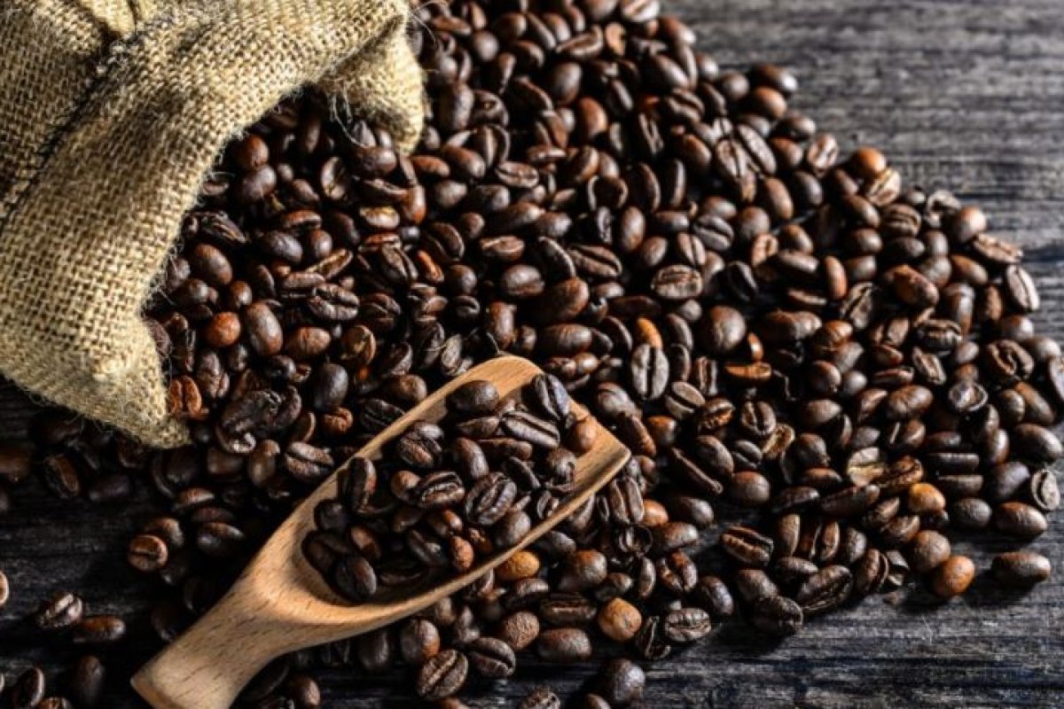 Lavoura de café Arábica supera índice de produtividade nas regiões Sudeste e Nordeste