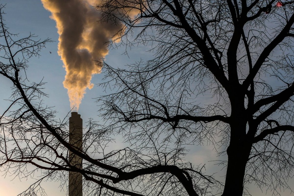 Covid-19: Emissões globais de CO2 têm maior queda da história na primeira metade de 2020