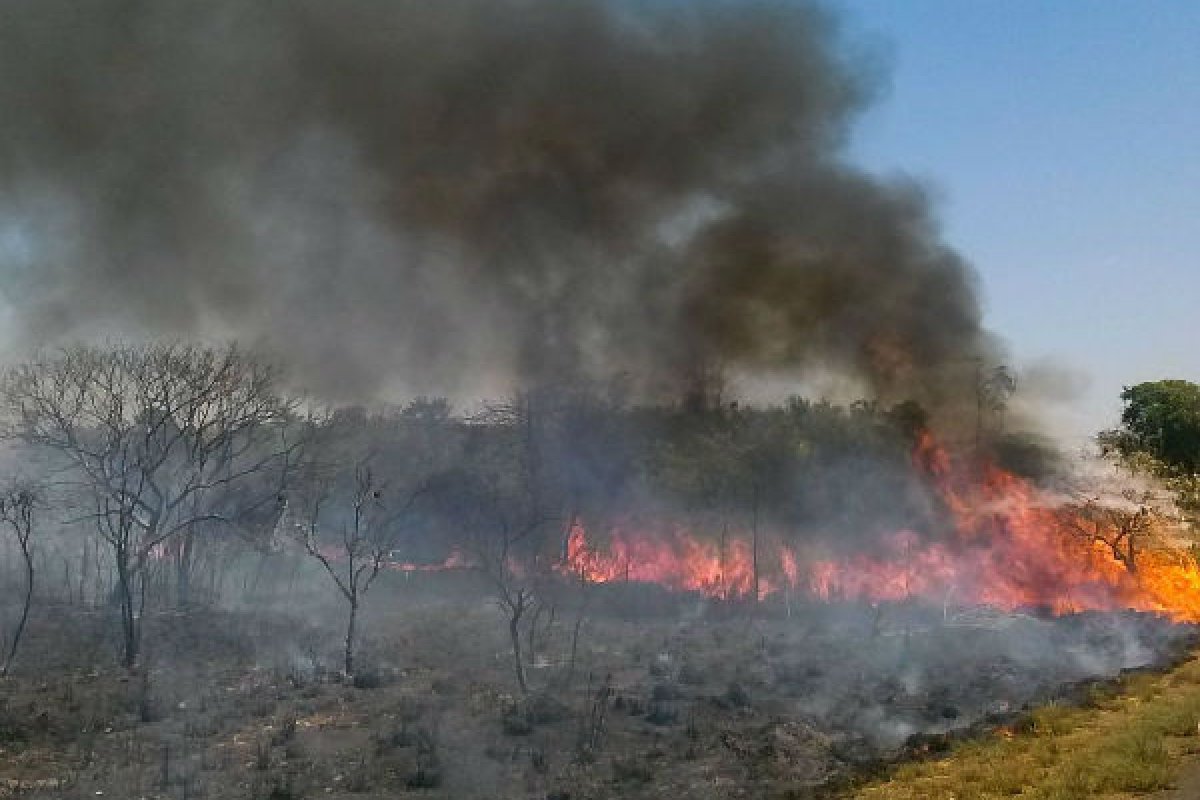 Amazônia tem 9,7 mil focos de calor em outubro