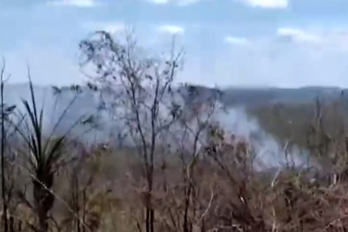 Incêndio atinge vegetação na região do Vale do Jiquiriçá