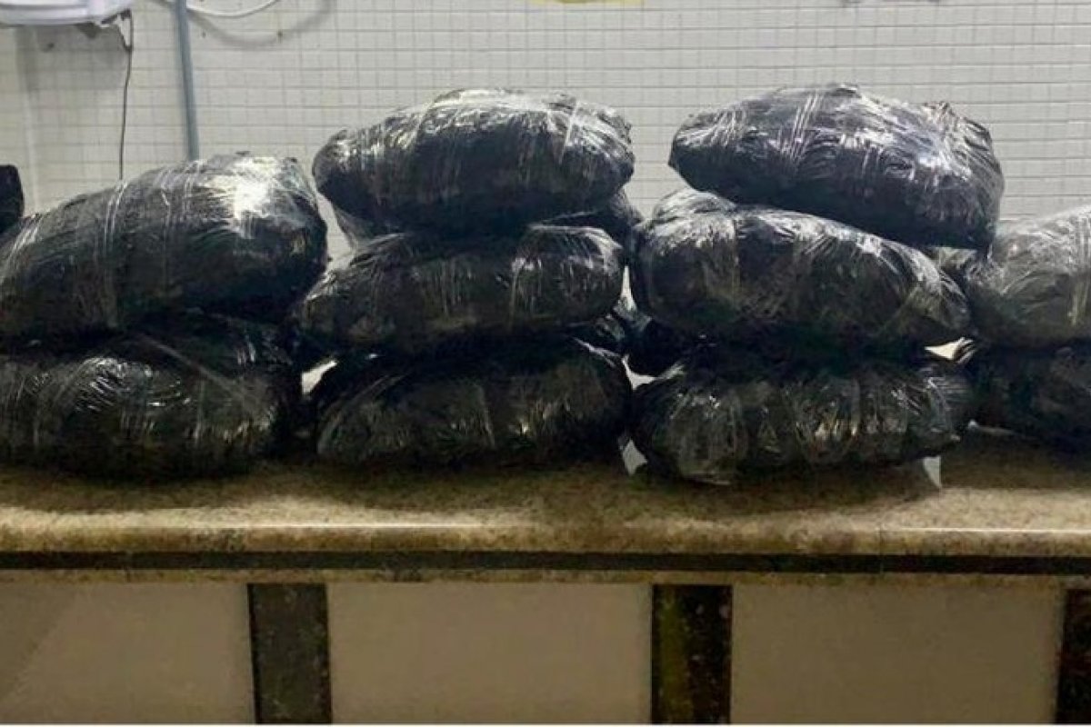 Casal é preso com mais de 30 kg de maconha em Salvador