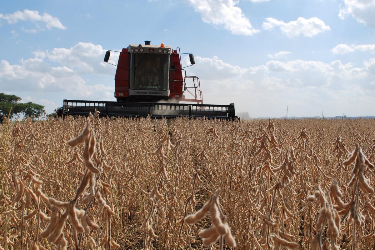 Governo decide zerar tarifas de importação de milho e soja até 2021