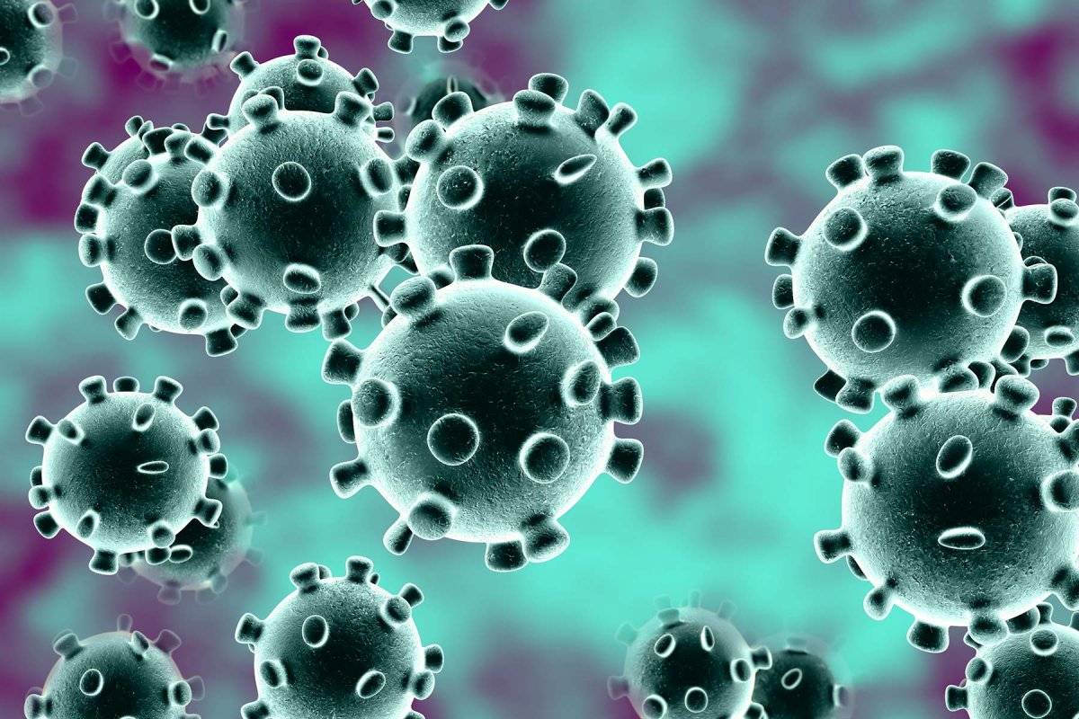 Veja os últimos dados da pandemia nesta segunda-feira (19)