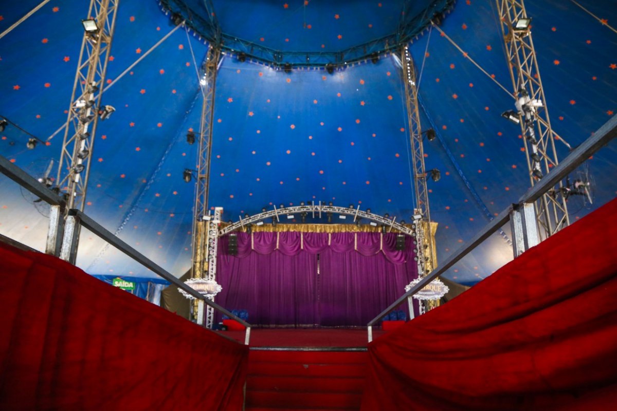 Circo planeja retomar espetáculos presenciais na sexta-feira (23)
