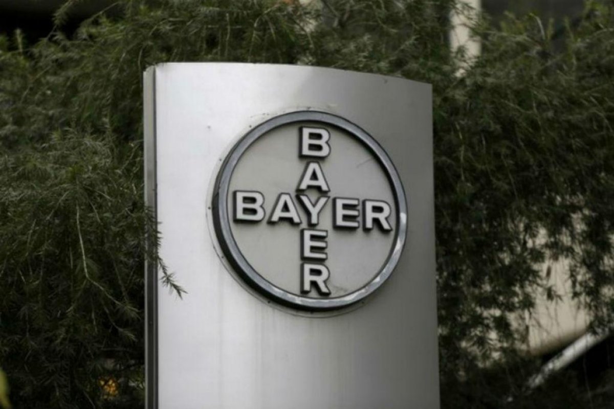 Trainee para negros na Bayer passa de 10 mil inscritos; salário é R$ 6.900