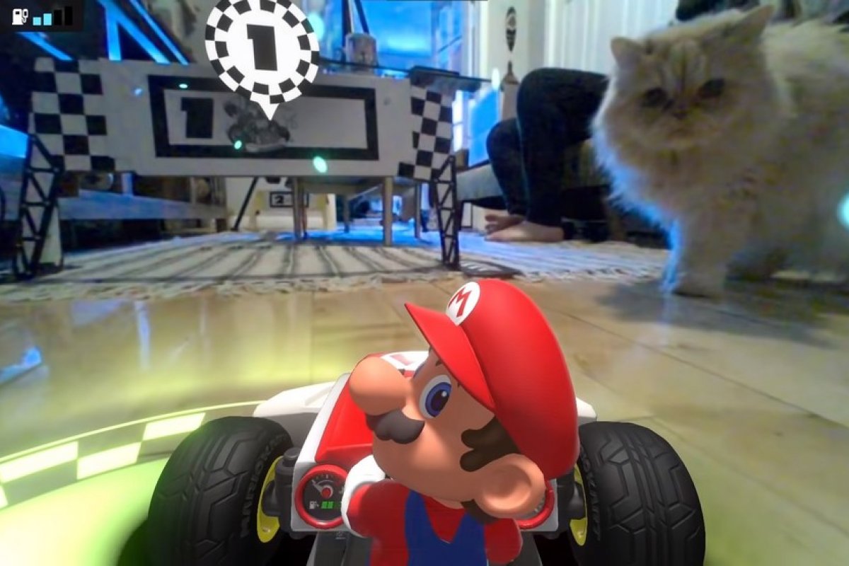Vídeo: Novo jogo do Nintendo Switch rende cenas engraçadas com gatos