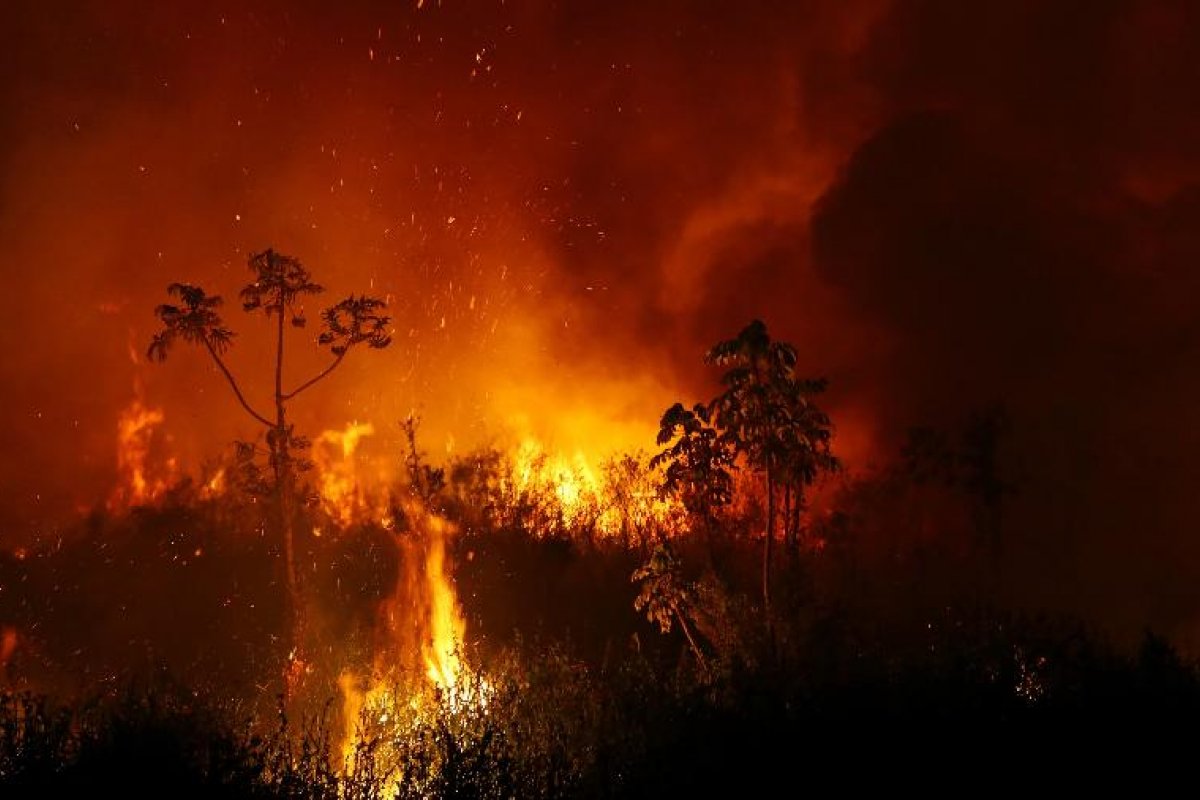Inpe: Pantanal registra aumento de 408% em queimadas nos primeiros 20 dias de outubro