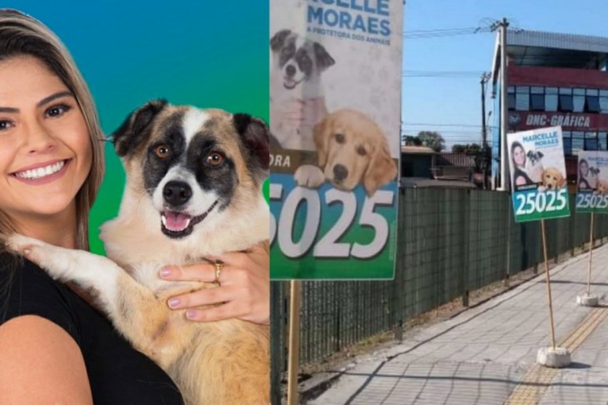 Propaganda politica irregular de Marcelle Moraes pode causar graves acidentes