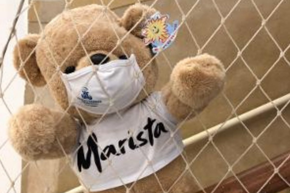 Ursos de pelúcia são usados para ensinar distanciamento social para crianças