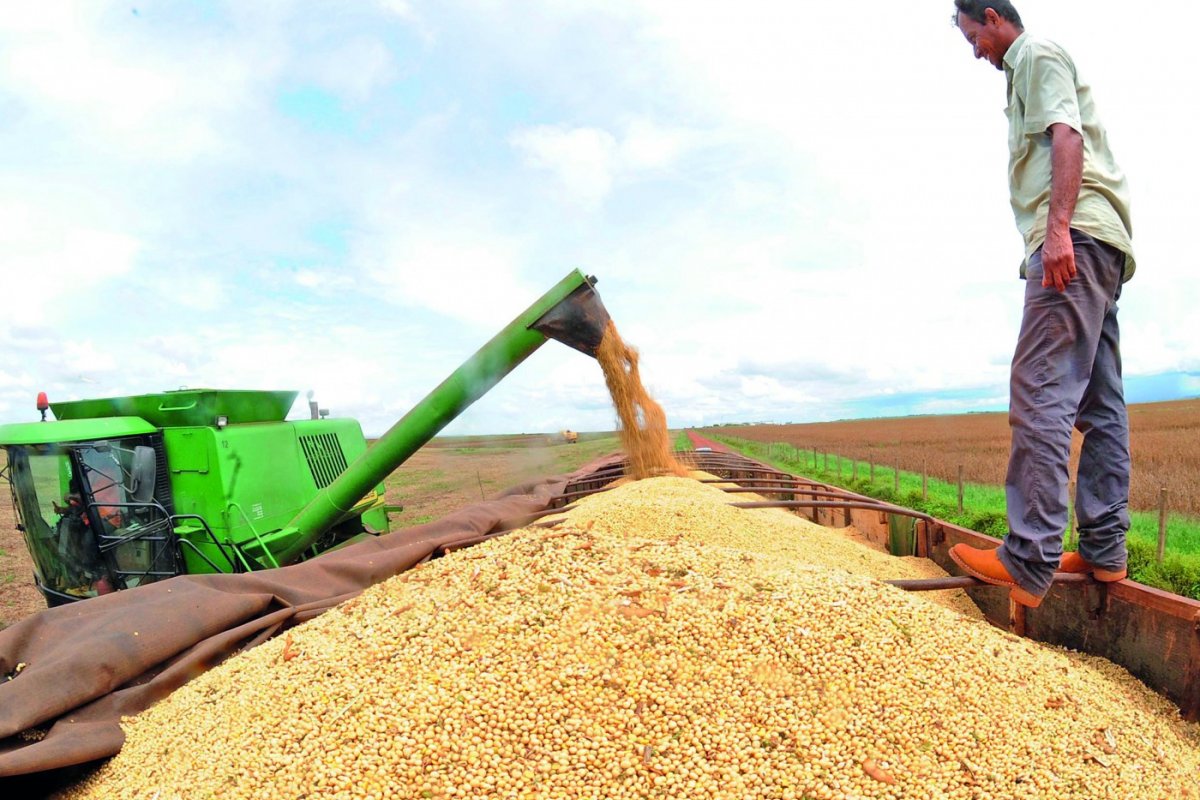 Ipea estima aumento de 1,9% na previsão para o PIB agropecuário de 2020