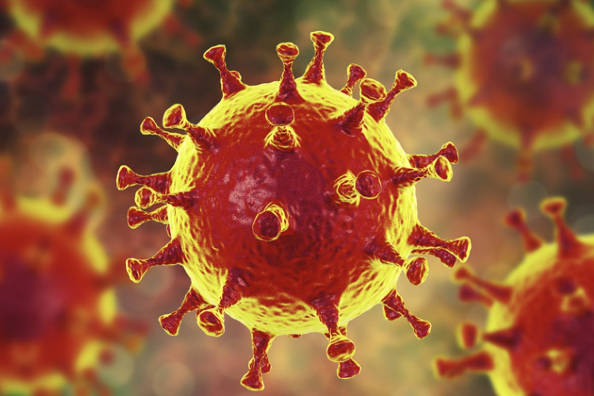 Estudo mostra que fezes causaram surto de Covid-19 em cidade da China