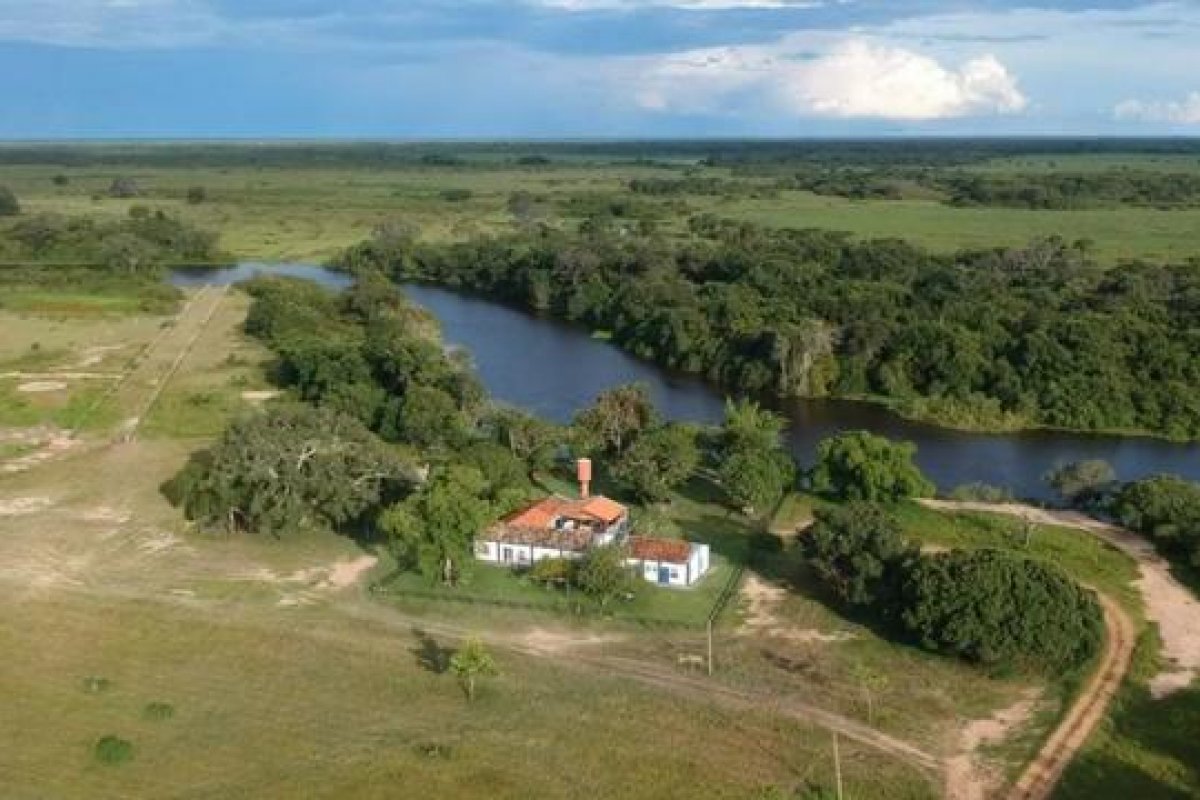 Justiça determina bloqueio de quatro fazendas no Pantanal por danos ambientais