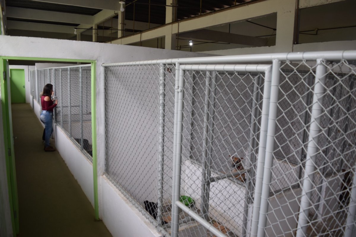 Jacobina ganha novo Centro de Proteção Animal