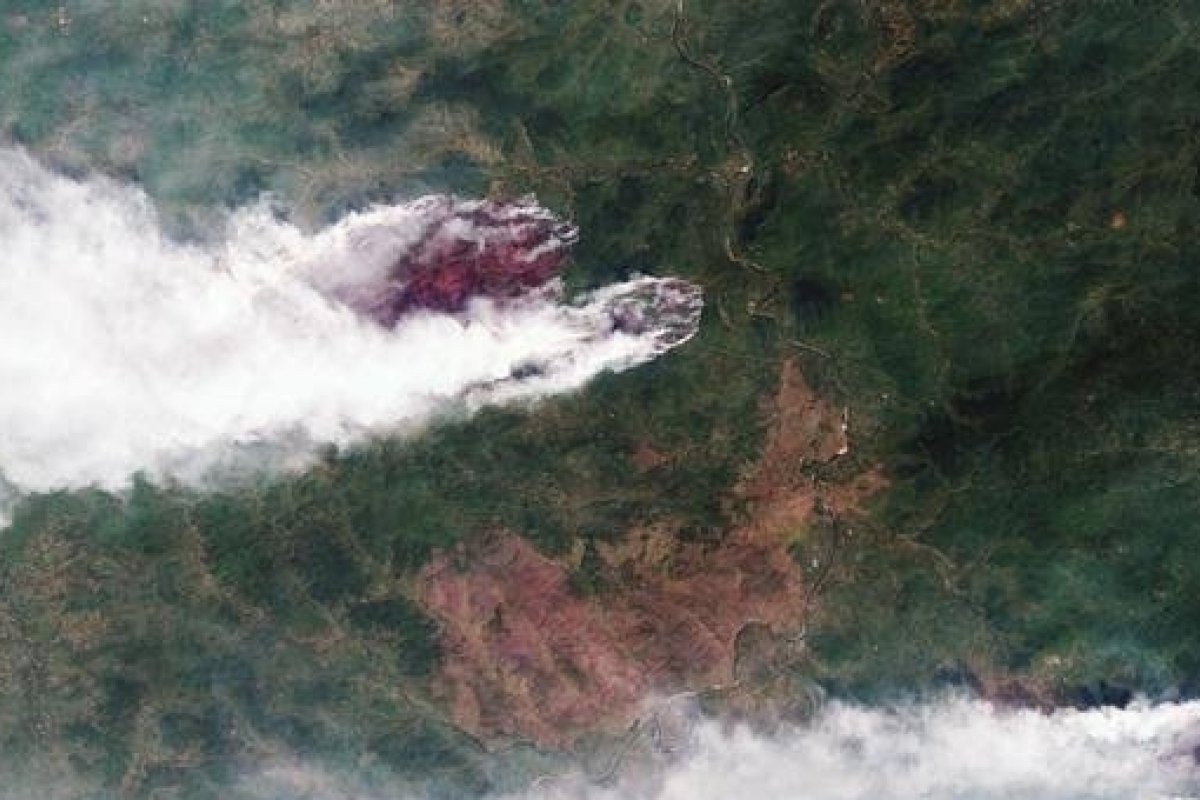 Rússia: militares são enviados para combater incêndios florestais na Sibéria