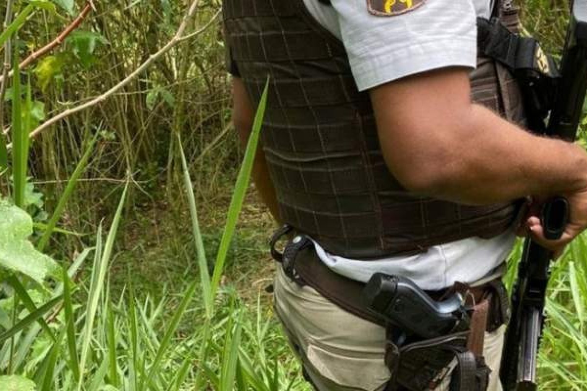 Ossada é encontrada em matagal na Vila Canária