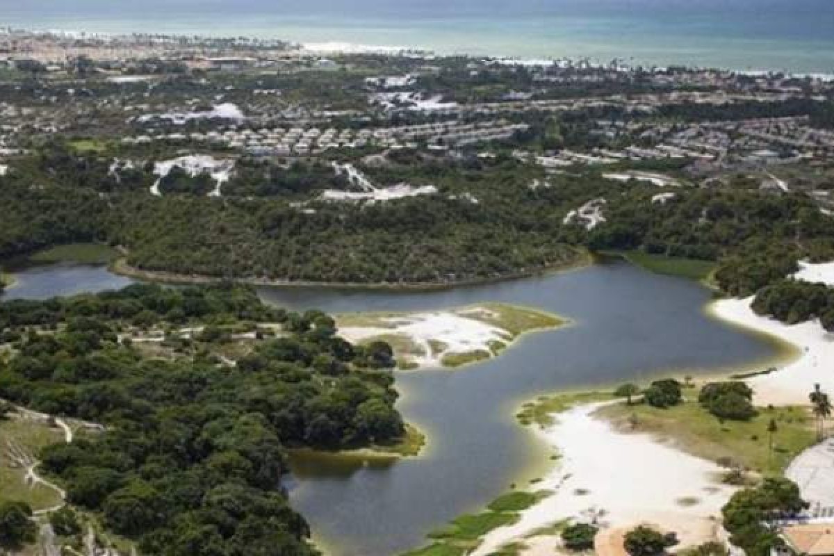 Proliferação de vegetação na margem da Lagoa do Abaeté é sinal de poluição, diz promotora