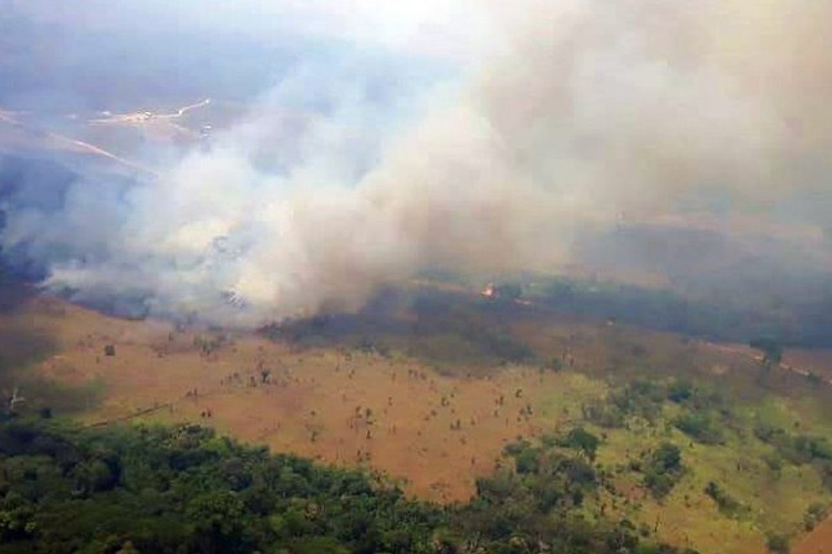Pantanal tem o pior outubro da história, aponta Inpe