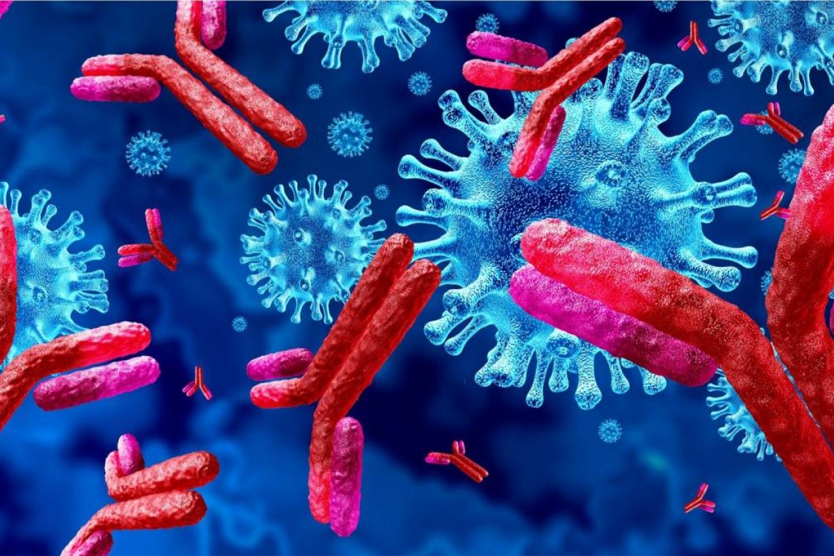 Pacientes sobreviventes à Covid-19 podem desenvolver anticorpos que atacam o próprio corpo, diz estudo