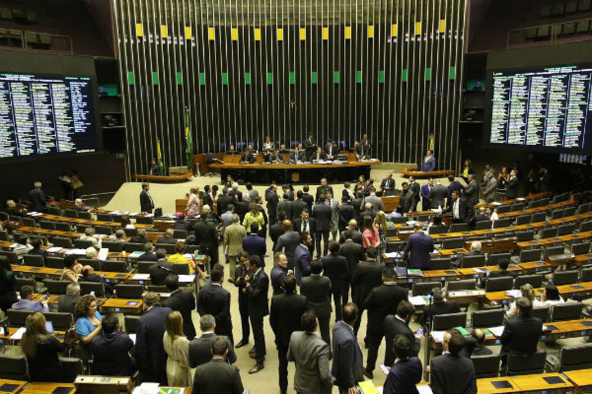 Deputados pedem a artistas brasileiros apoio para salvar o Pantanal