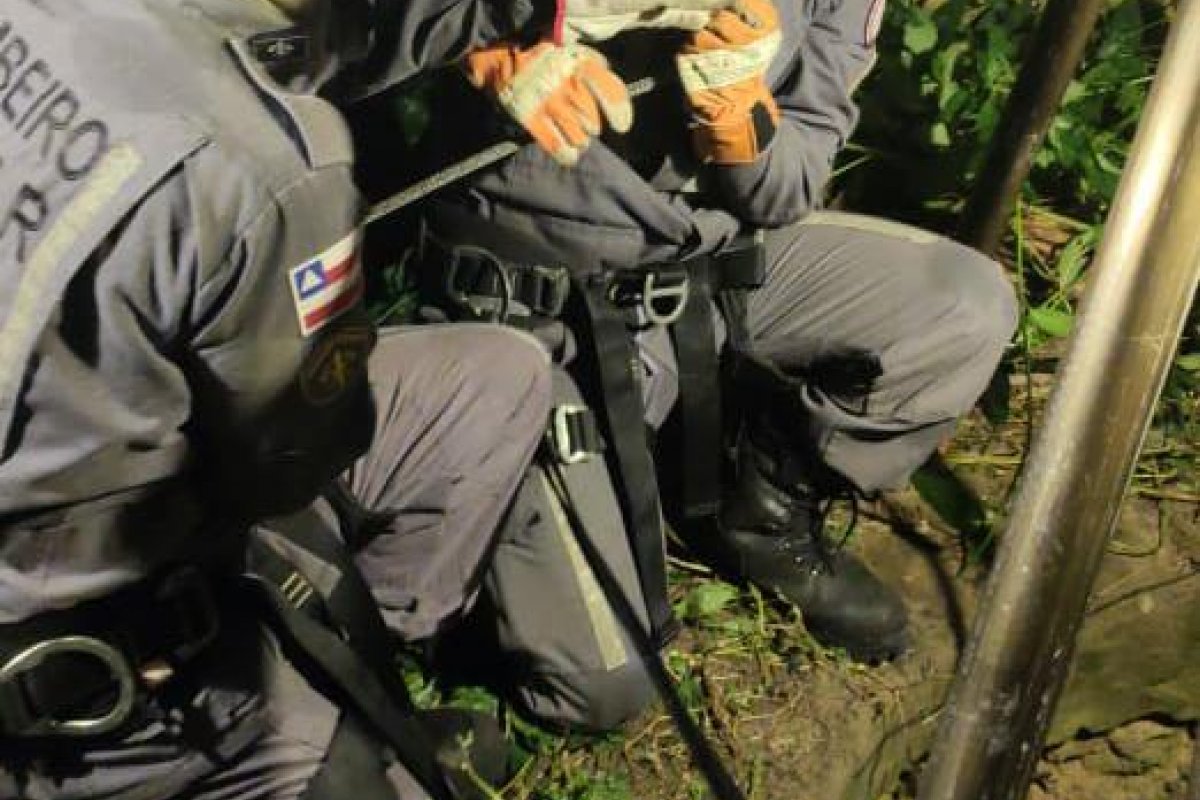 Animal é resgatado após cair em buraco de 12 metros de profundidade