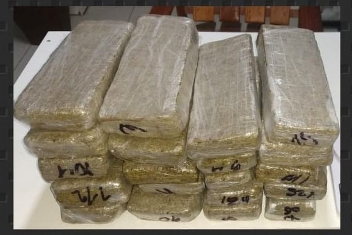 Polícia encontra mais de uma tonelada de maconha no meio de ração para gato
