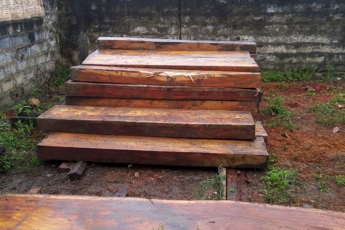 Carga com madeira nativa sem licença é apreendida no extremo sul da Bahia