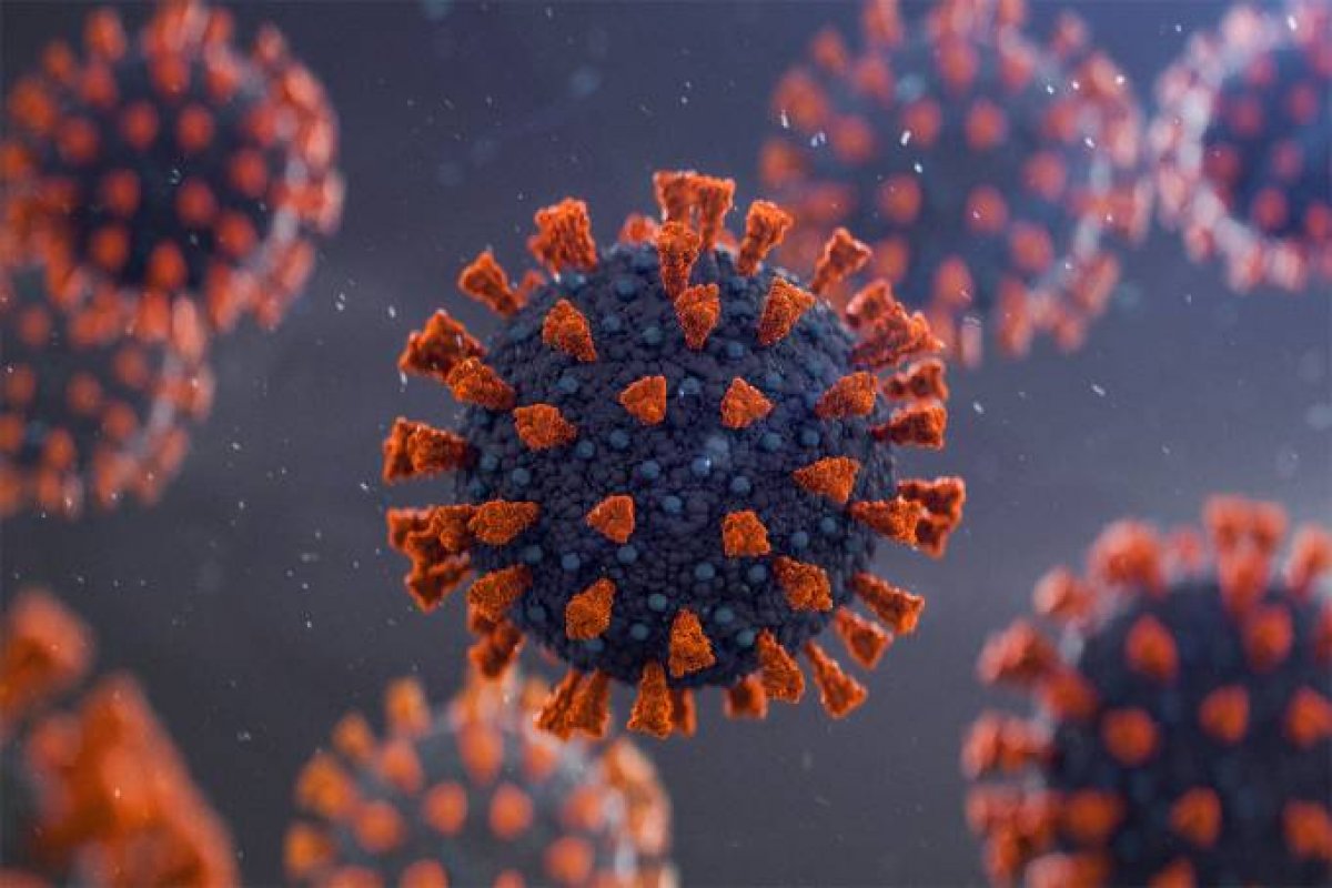 Brasil registra mais de 22 mil infectados pela covid-19