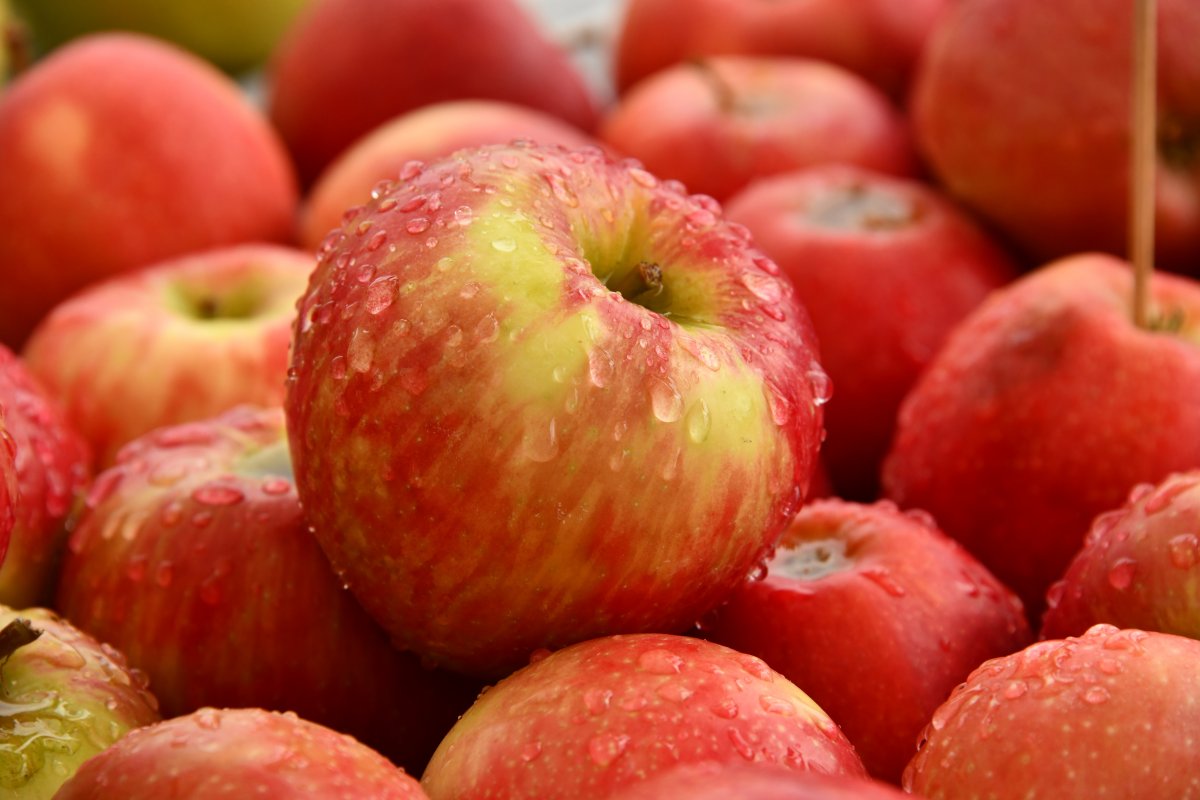 Maçãs francesas voltam à cena com apple bike pela cidade