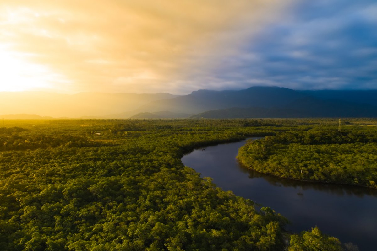 IBGE afirma que Brasil tem mais de 3 mil espécies ameaçadas de extinção