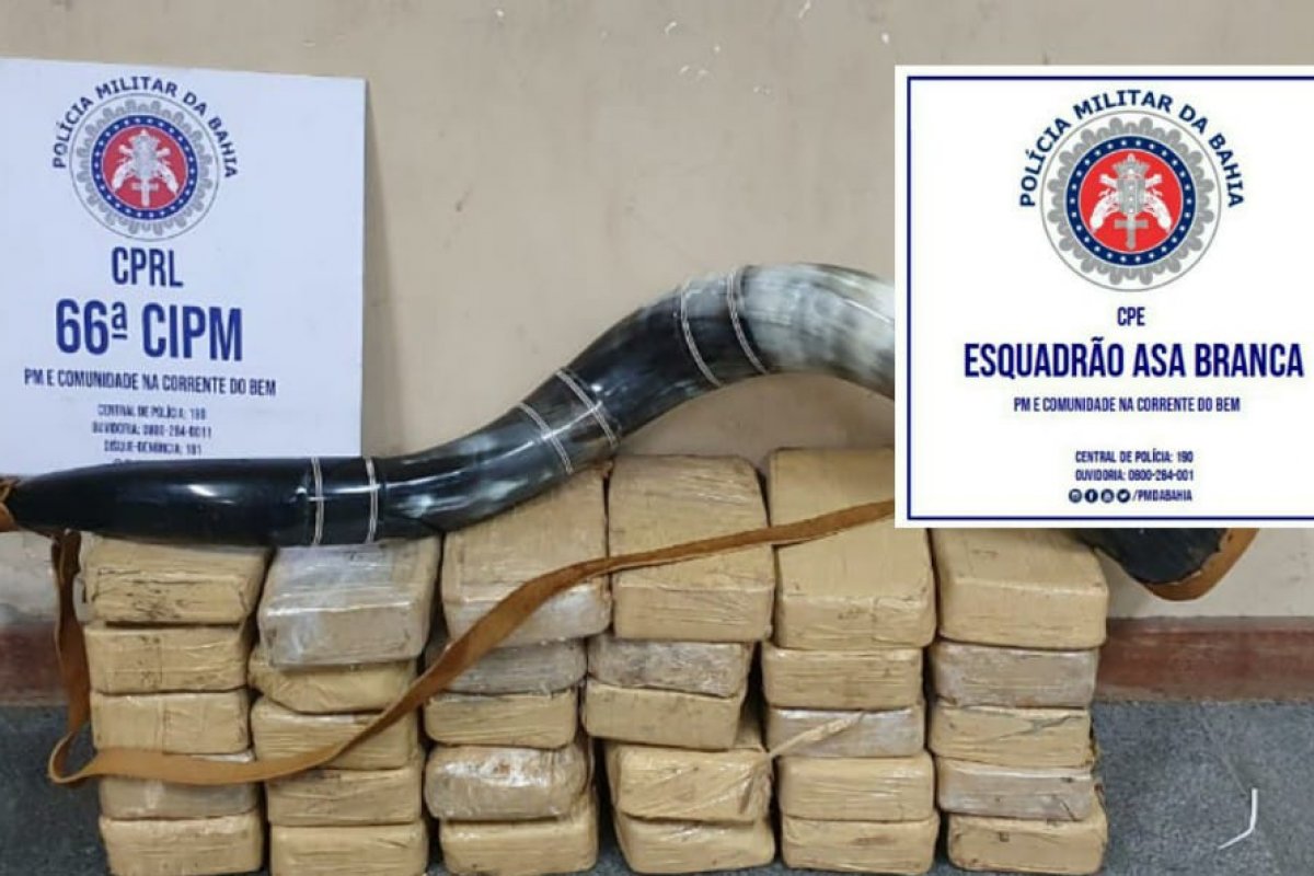 Polícia apreende 30 quilos de cocaína durante operação em Feira de Santana
