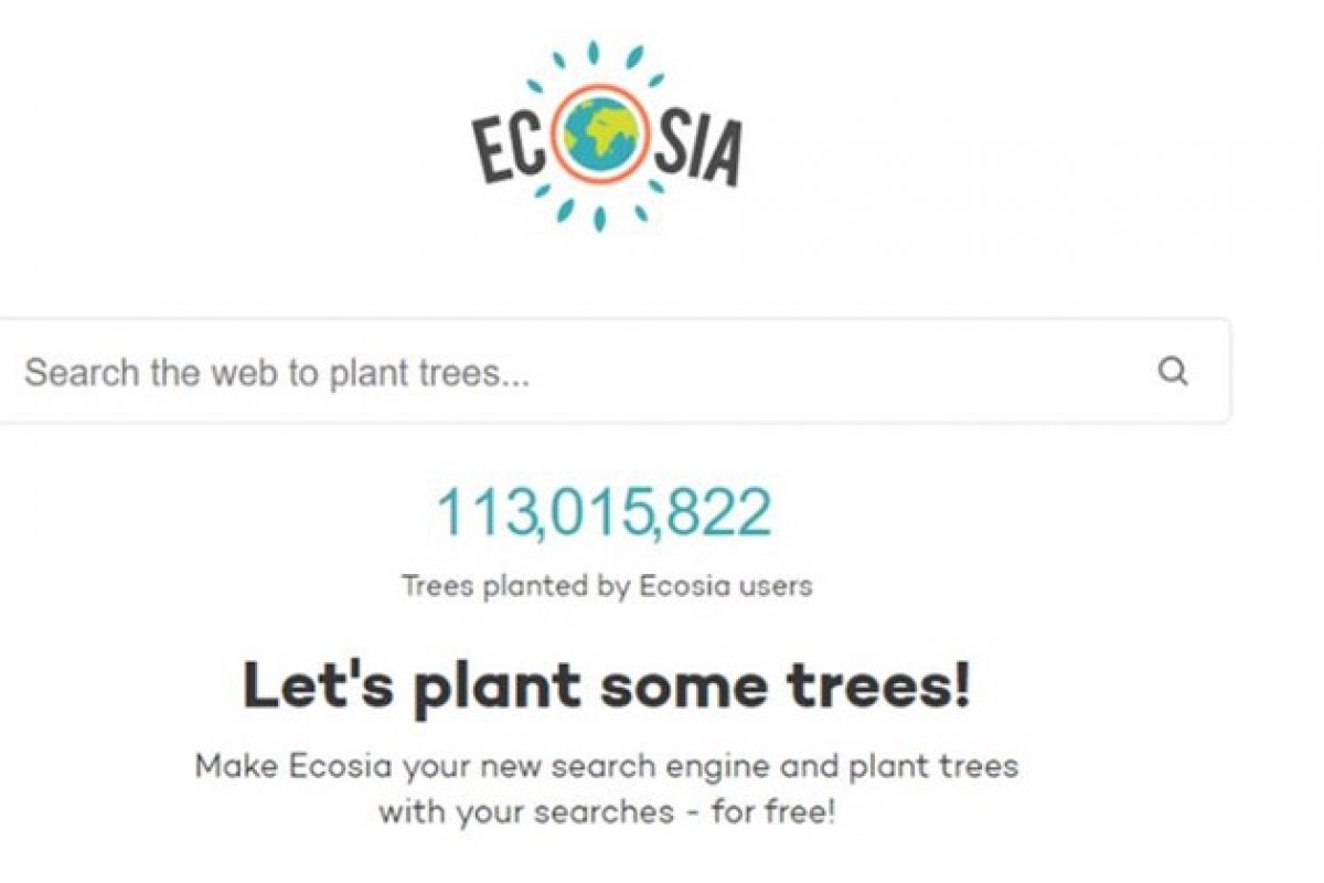 Conheça o Ecosia, o buscador que planta árvores a cada pesquisa que você faz