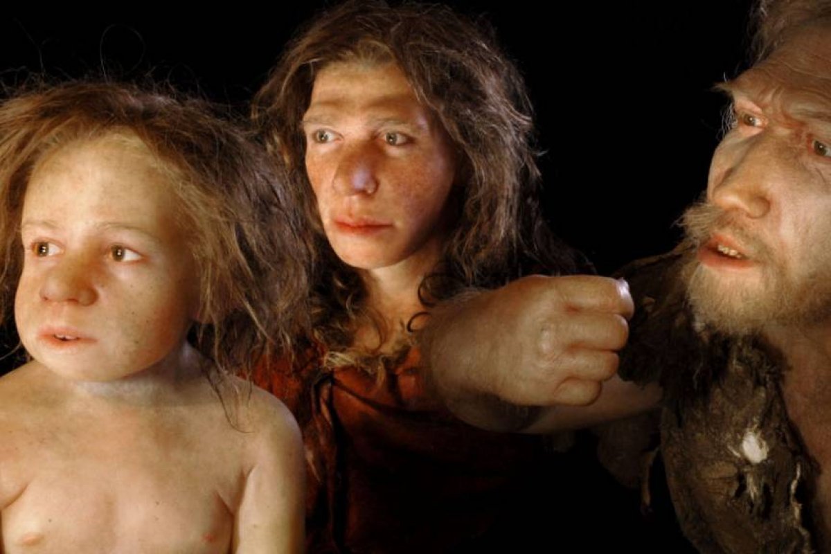 Estudo mostra que bebês neandertais comiam alimentos sólidos aos seis meses
