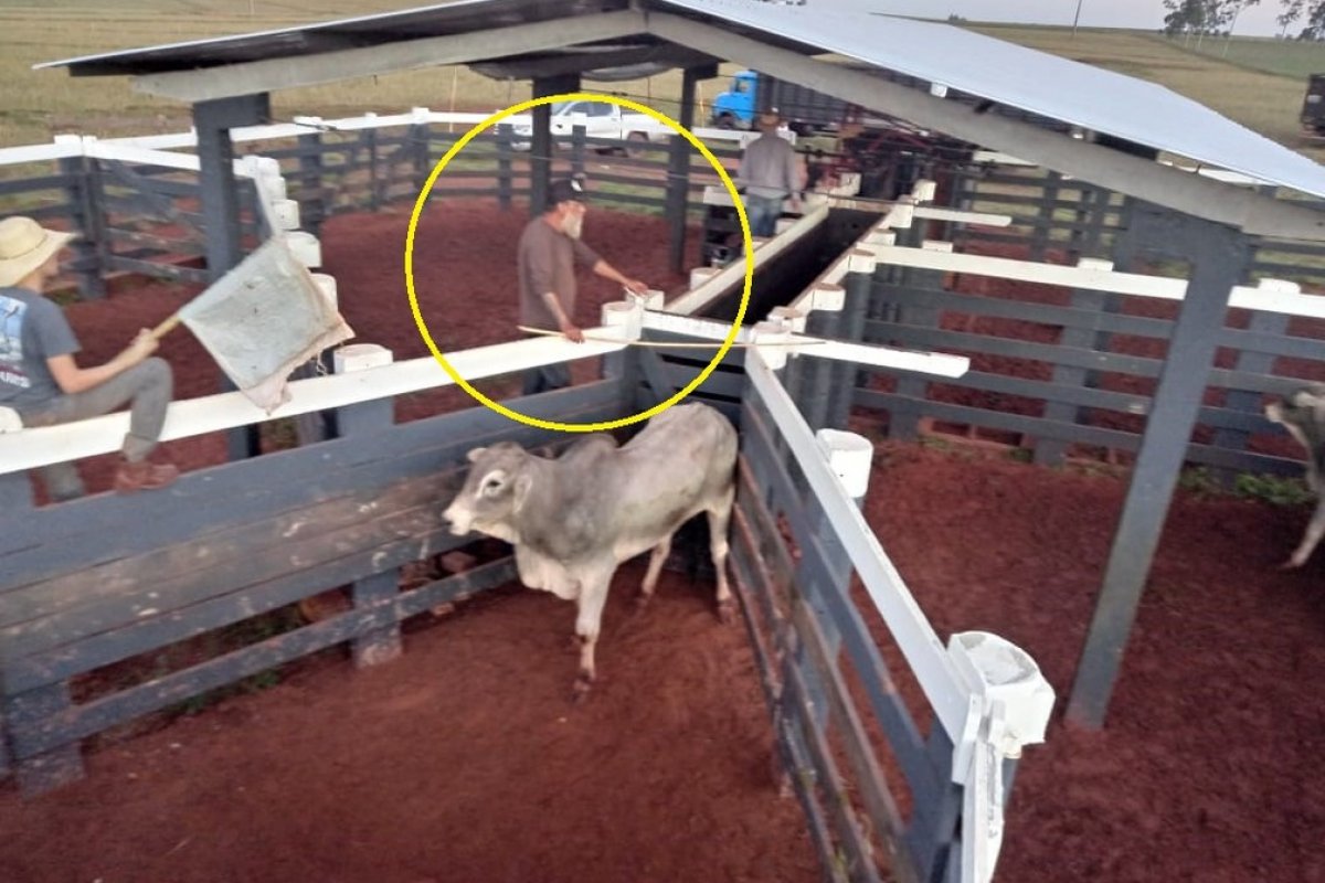 Após matar o ator Rafael Miguel e os pais dele, Paulo Cupertino passou por 7 cidades e se escondeu em sítio do MS