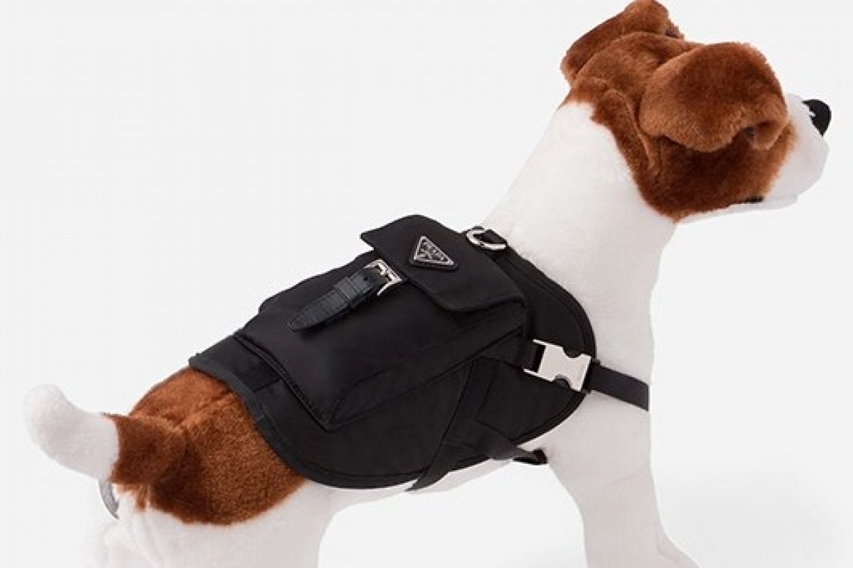 Prada lança coleção para pets