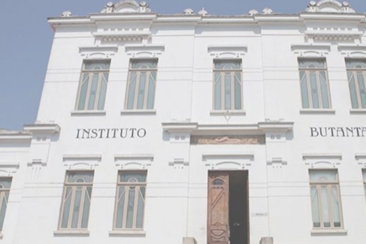 Butantan diz ter avisado à Anvisa que morte de voluntário não estava relacionada a vacina