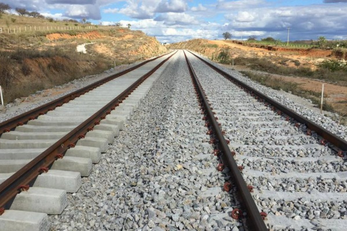 Fiol será leiloada no início de 2021