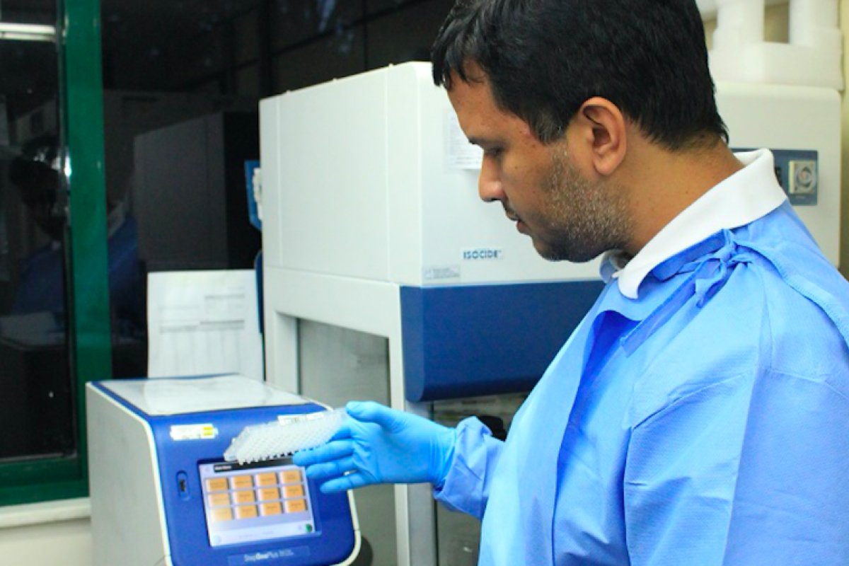 Pesquisador descobre linhagens inéditas do coronavírus no país  