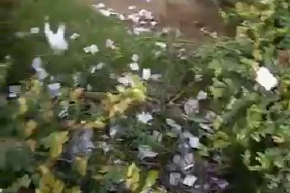 Vídeo: Eleitor se revolta com sujeira e gasto de dinheiro público durante eleições municipais em Salvador