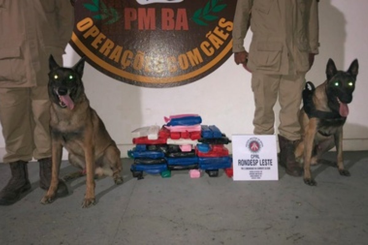 Cães da PM acham 48 kg de cocaína em tanque de combustível