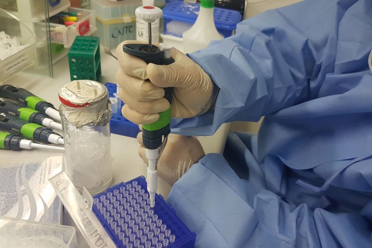 CDC afirma que vírus encontrado na Bolívia pode ser transmitido entre humanos