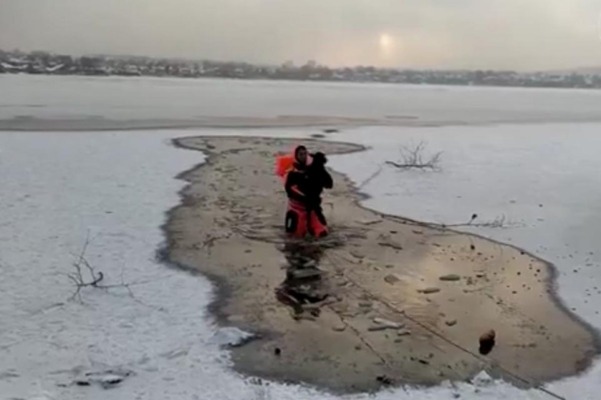 Cachorro cai em lago congelado e é salvo por socorrista na Rússia