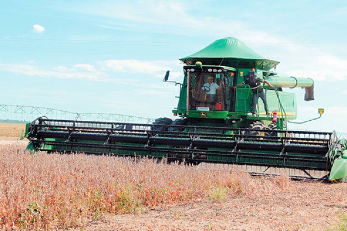 Embaixadas realizam visitas ao Oeste baiano para conhecer produção rural