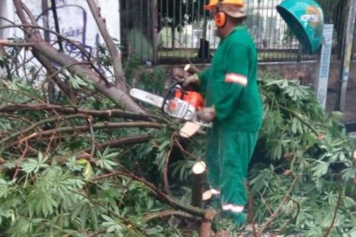 Chuva forte em Salvador provoca queda de árvore na Av. Joana Angélica